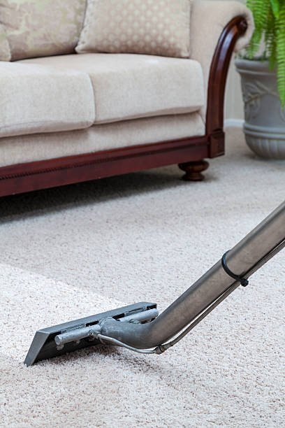Carpet Cleaning Steam Carpet Cleaning Steam